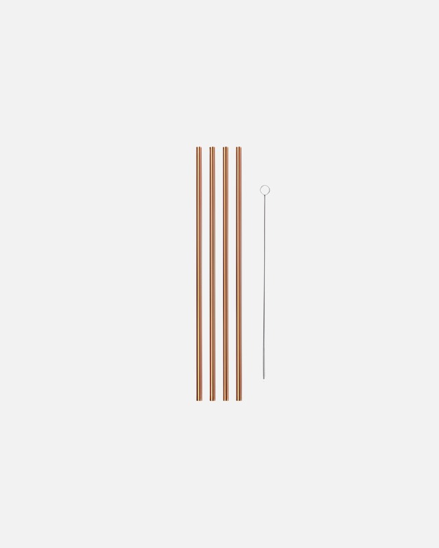 10" Metal Straws
